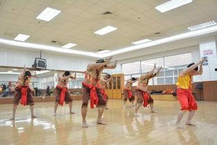 拍打舞视频,探寻传统舞蹈的现代演绎