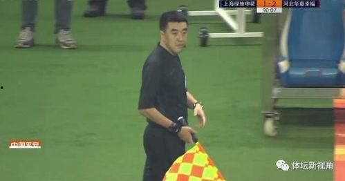 误判视频,揭秘视频中的意外瞬间与误解真相