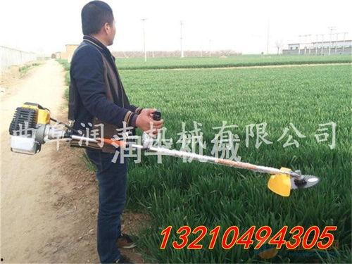 割草机割水稻视频,农业创新技术展示