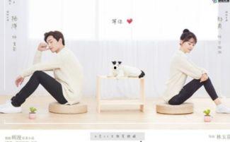 杨洋郑爽滚床单视频,真相揭秘引热议