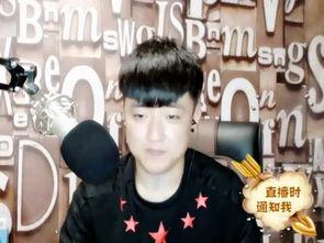 白龙马蹄朝西歌曲视频,探寻古典旋律中的奇幻之旅