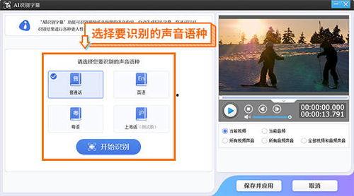 识别视频中的文字