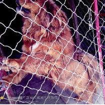 天藏的视频,探寻神秘视频背后的秘密与奇迹