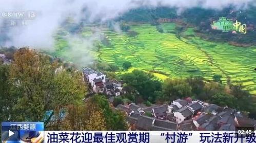 婺源县视频,穿越时空的徽州画卷