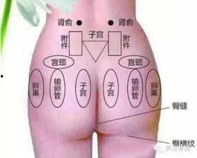 臀部按摩手法视频,跟随视频轻松掌握专业手法