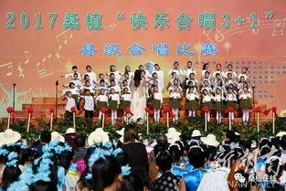 桑植道场视频,传统武术与现代传承的交融之旅